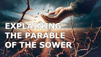 The parable of the sower