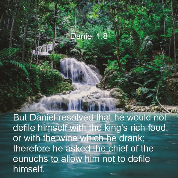 Daniel 1:8