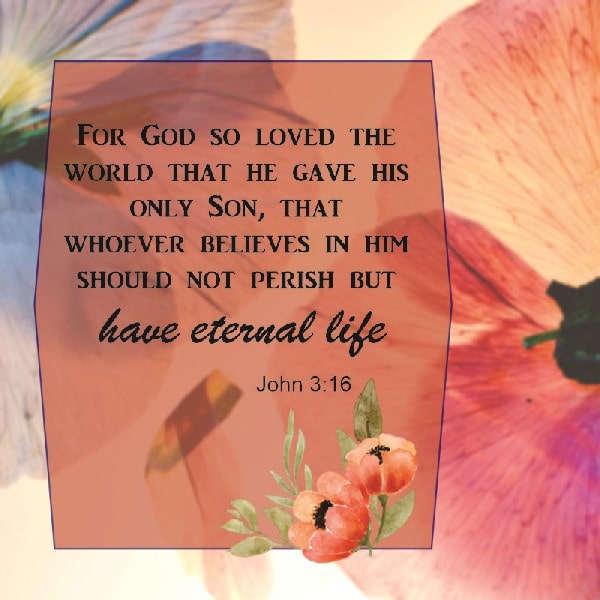 John 3:16