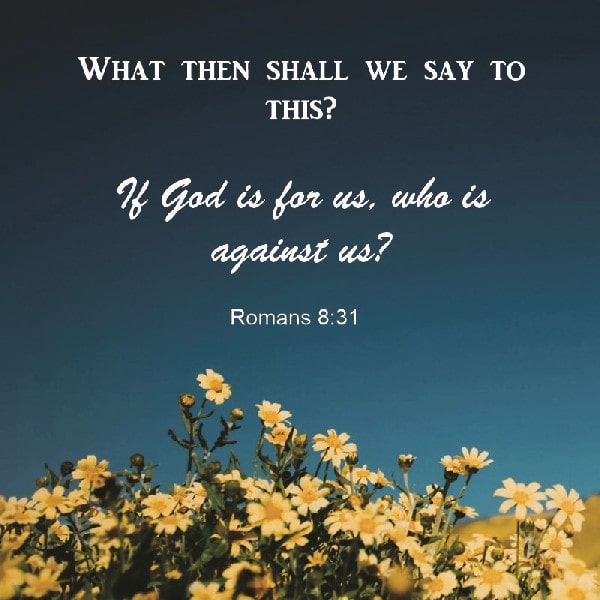 Romans 8:31