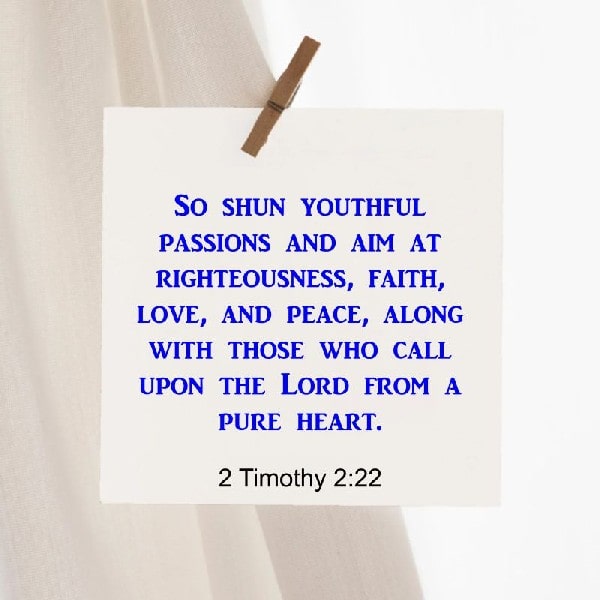 2 Timothy 2:22