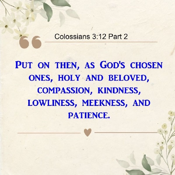 Colossians 3:12 Part 2