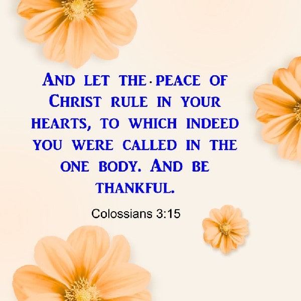 Colossians 3:15