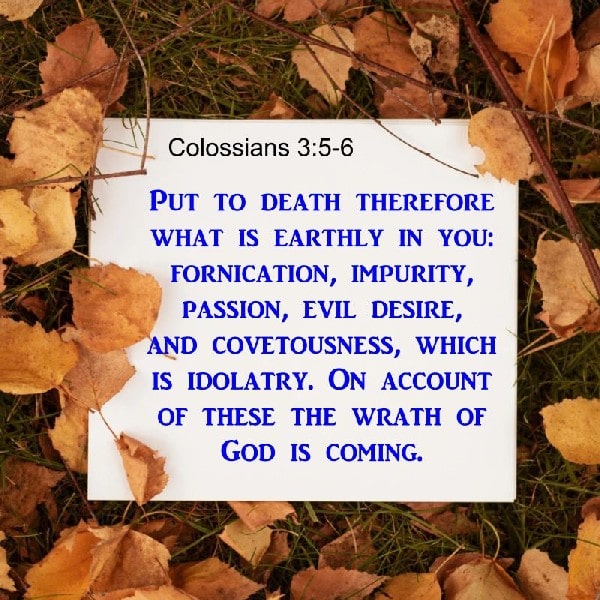 Colossians 3:5-6