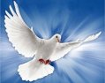 Holy Spirit as a dove